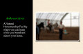 A natural horsemanship facility where you can learn while you board and school your horse.