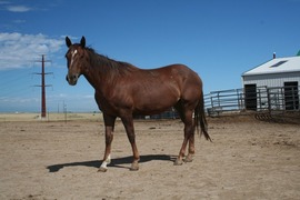 Rookie pic